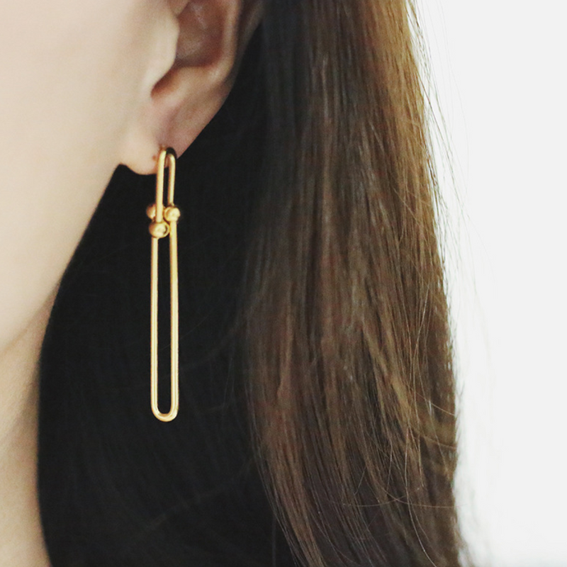 Thick Chain Drop Earring
